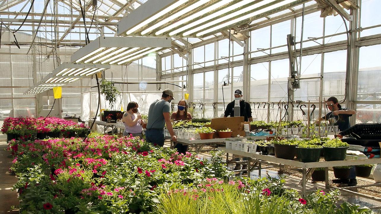 Students in lab studying horticulture science.